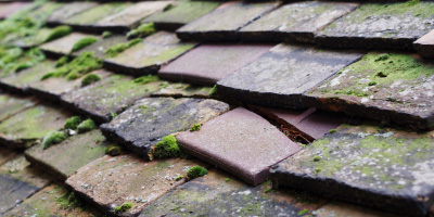 Navestockside roof repair costs